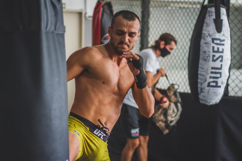 가브란트 UFC