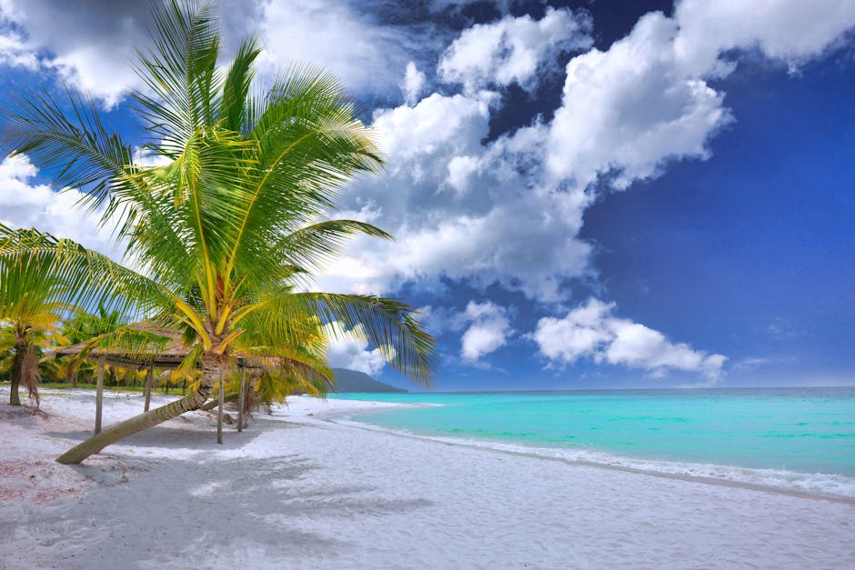 고민정 프로필