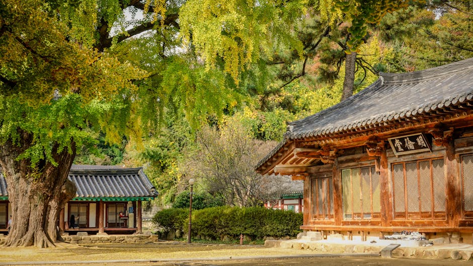 전주 바디프로필