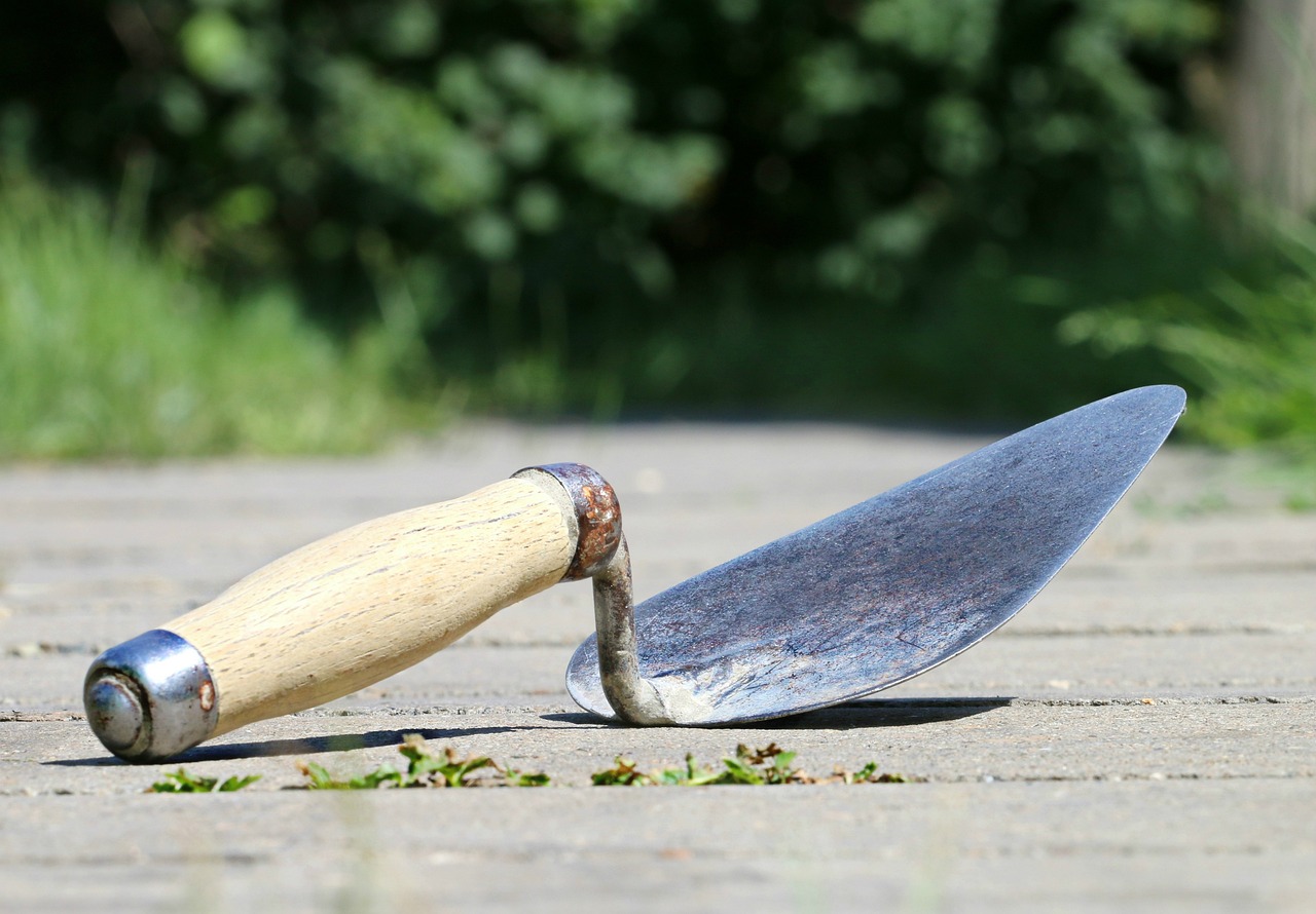 sk보너스카드 ok 캐시백