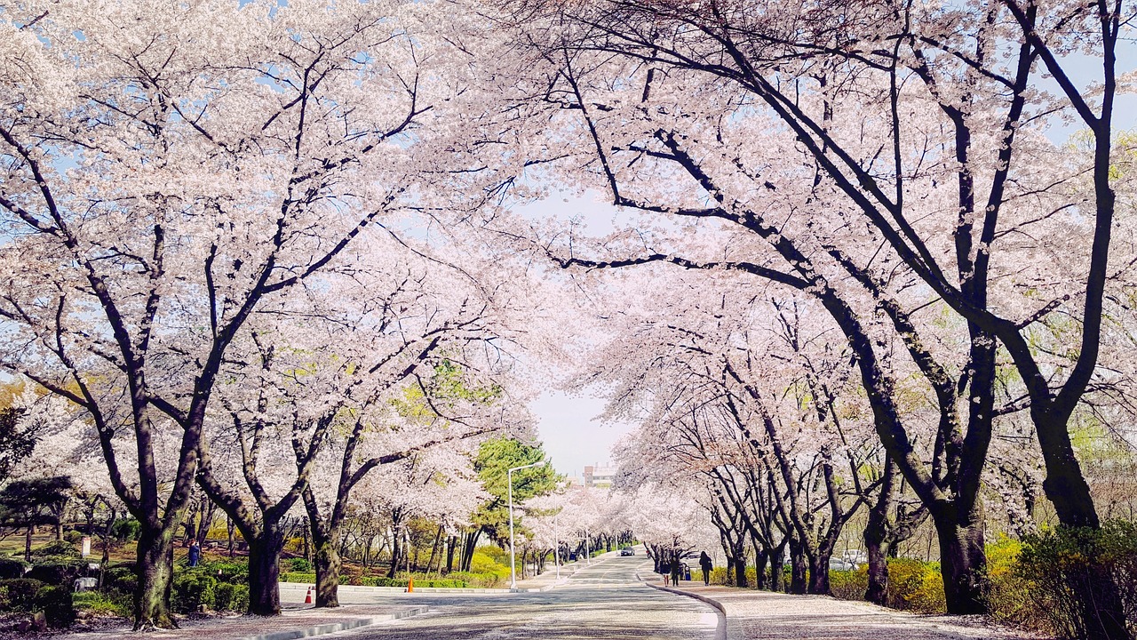 대구 내일배움카드 사용처