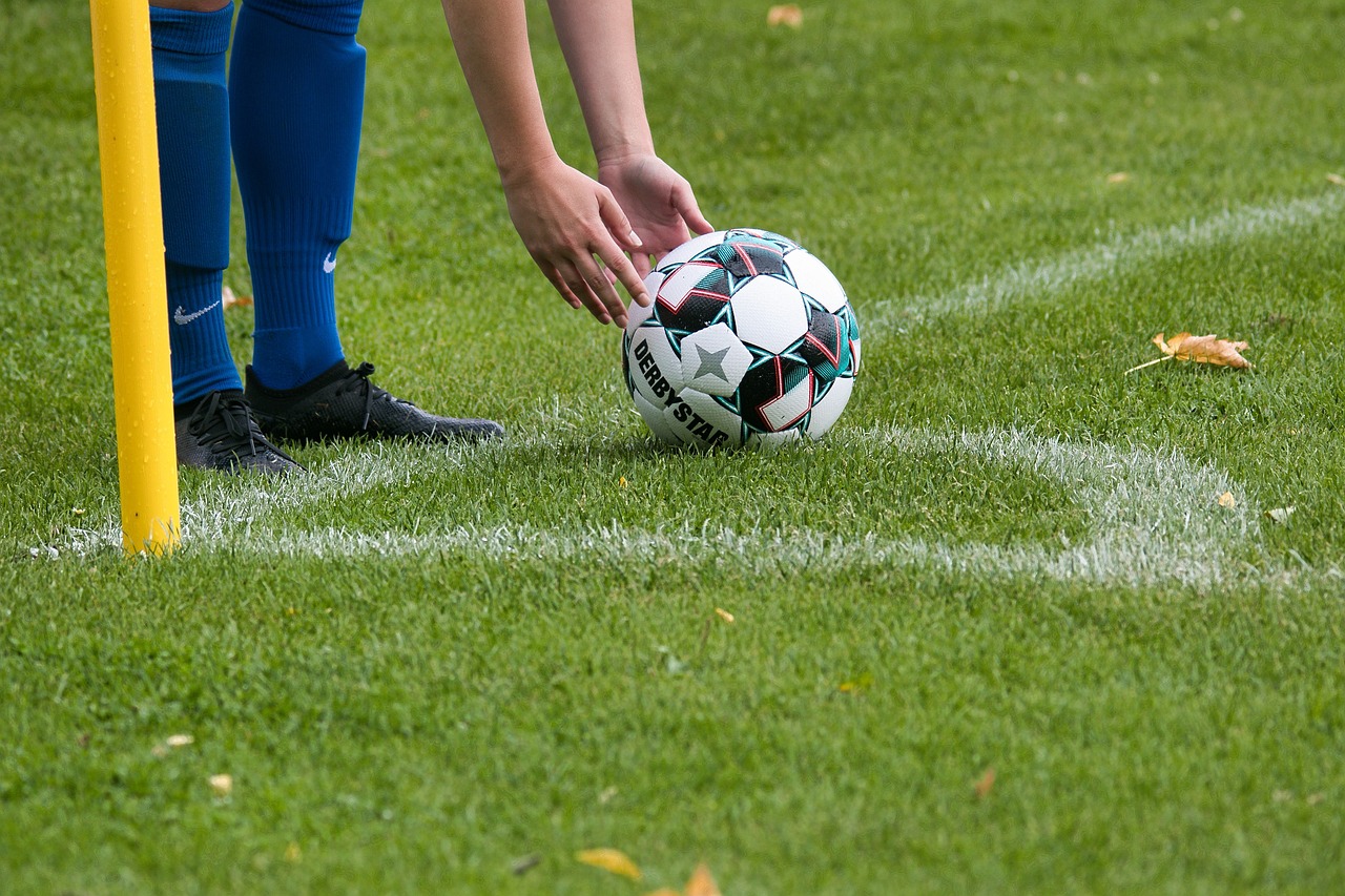 신한카드 포인트 조회