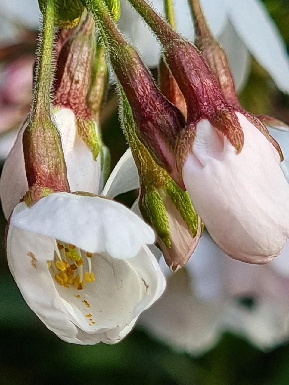 인스타 차단하면 스토리 본사람